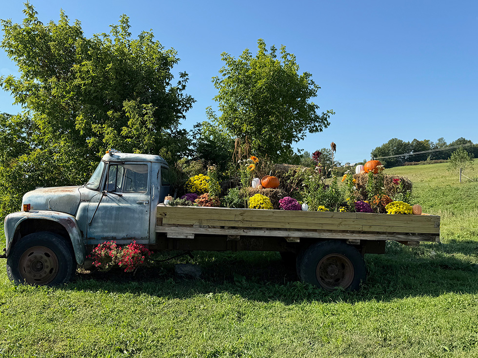 old-truck-with-flowers